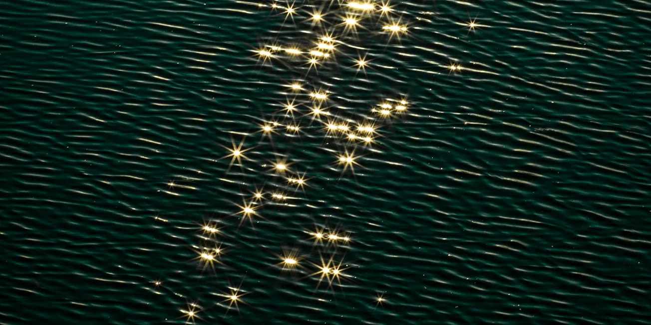 Bir Eşik, Bir Ses, Bir Umut